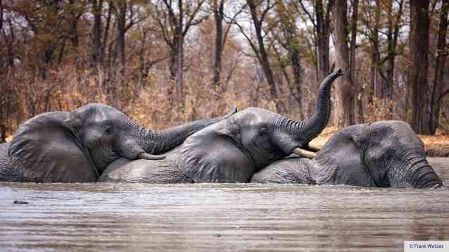 Liwonde National Park