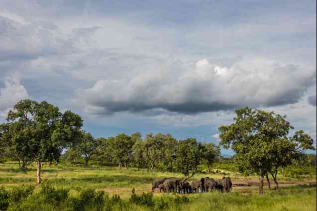 Majete National Park - Malawi