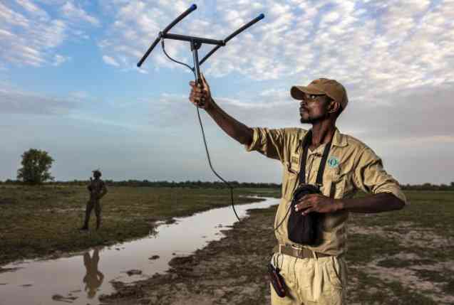 Wildlife monitoring, African parks