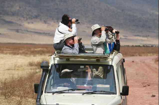 Birding safari Kenya