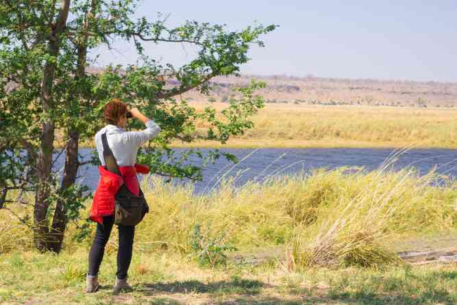 Bird watching safari Kenya