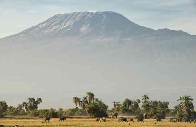 Amboseli National Park, Kenya