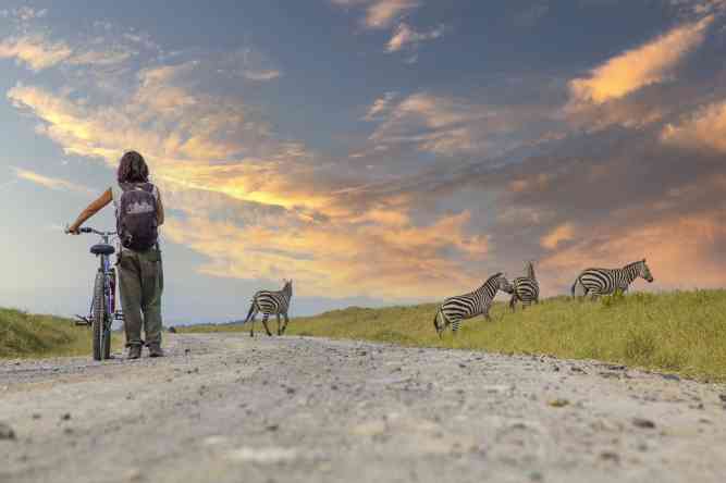 Best Kenyan National Parks to vsit