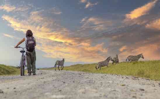 5 Kenya National Parks You Need to Visit on Your African Safari