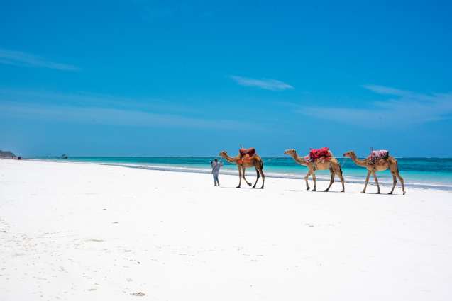 Mombasa Kenya 