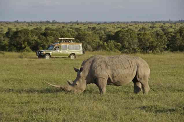 Masai Mara Conservancy