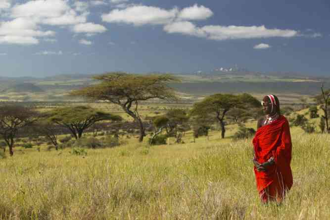 Masai Mara landscape, Kenya