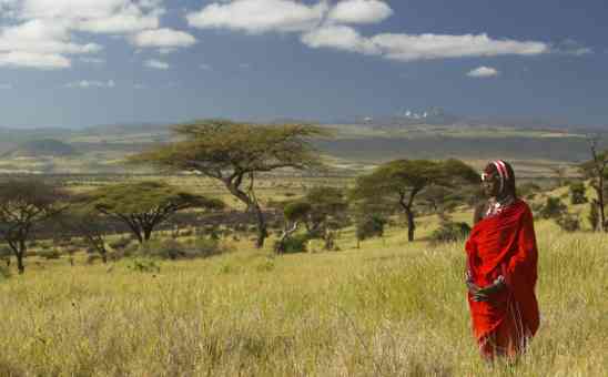The Pros and Cons of a safari in Kenyas Masai Mara Conservancies
