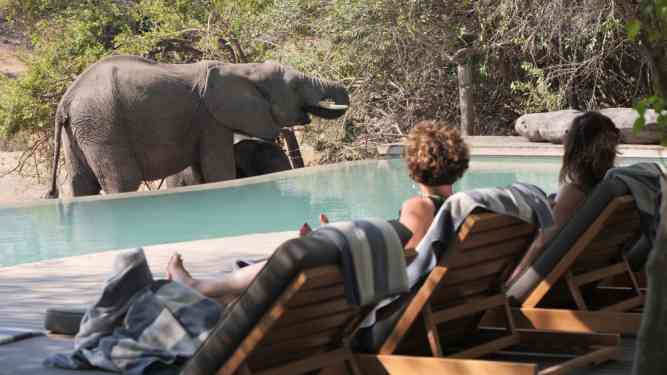 Kruger National Park safari in South Africa