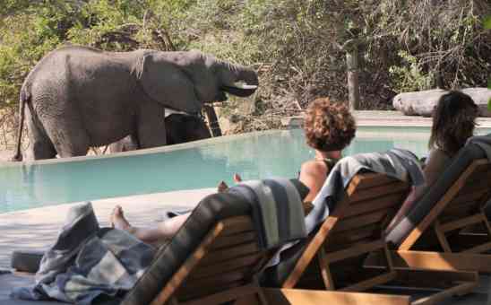 The Best Time to Visit South Africa? Cape Town to Kruger & More