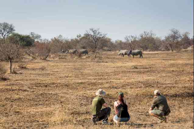 Walking safaris in South Africa
