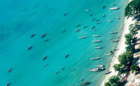 The Best Tanzania Safari Tours for All Budgets