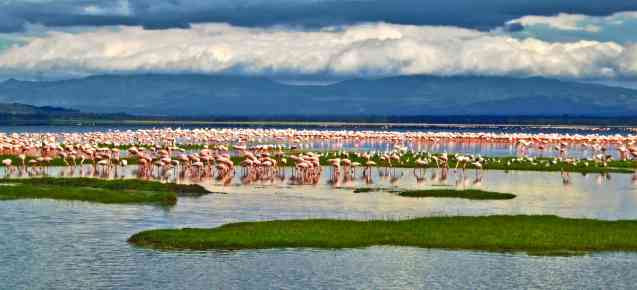 Budget Tanzania safari