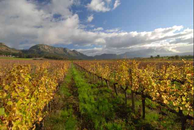 Cape winelands, Cape Town vacation