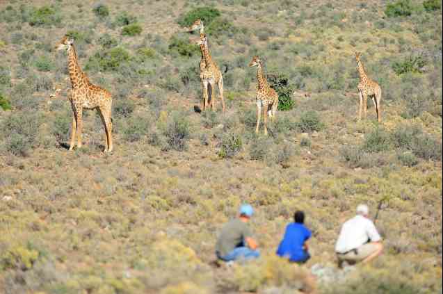 Sanbona Wildlife Reserve