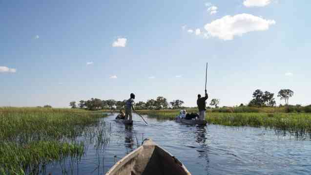 Mokoro ride in Moremi, Botswana