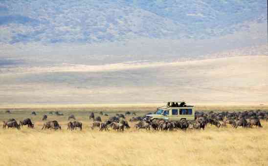 14 of The Best Countries to Visit in Africa This Year