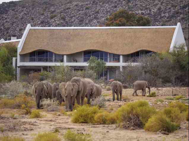 Gondwana Lodge at Sanbona Wildlife Reserve