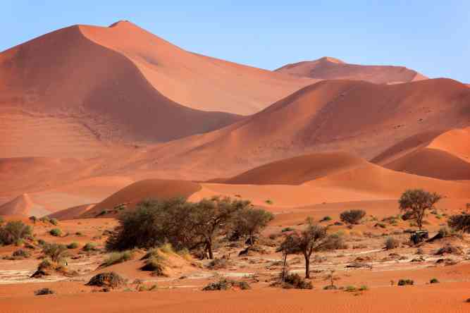Red dunes of Sossusvlei