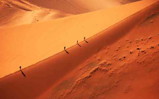 When is the Best Time to Visit Namibia for Safaris & More?