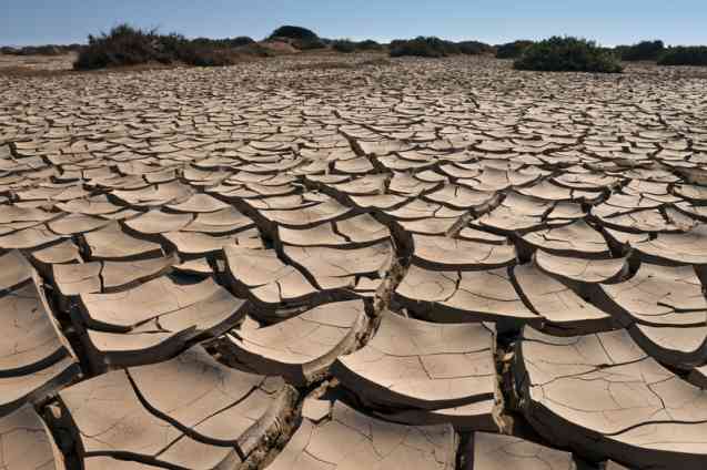 Namibia dry season