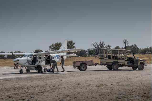 Moremi safari access