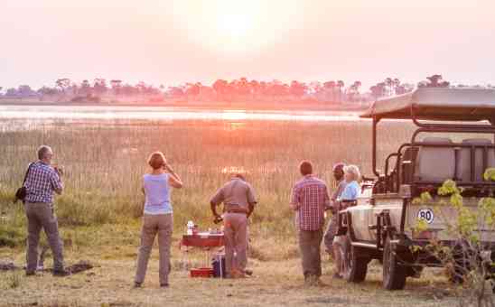 Top Travel Tips: 10 Things to Do Before Your Safari in Botswana