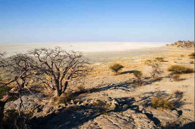 Kalahari Desert facts