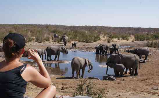 Namibia Safari Costs & 7 Budgeting Tips to Save on your Trip