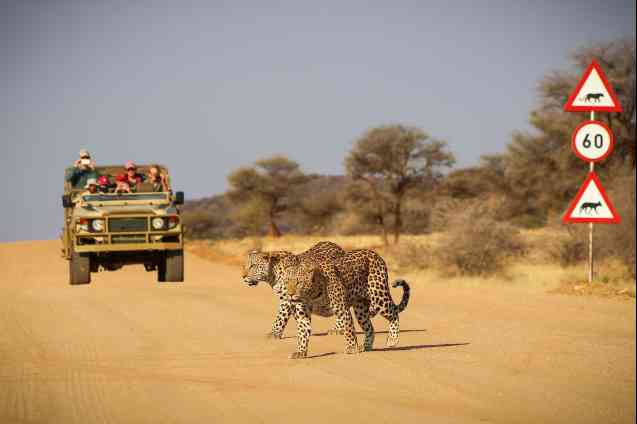 Game drive on Namibia safari