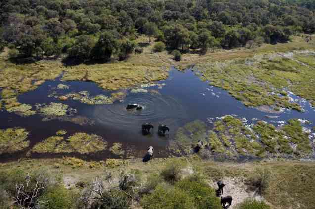 Delta Botswana safari