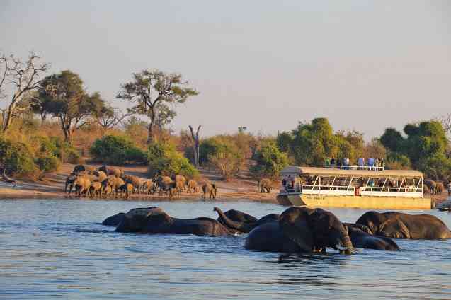 Chobe National Park safari, Botswana