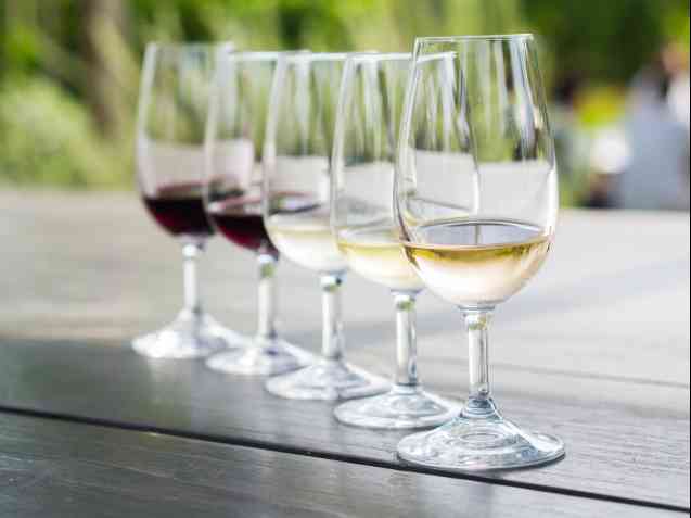The Cape Winelands tips