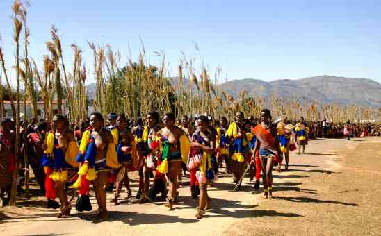 Eswatini culture, reed dance
