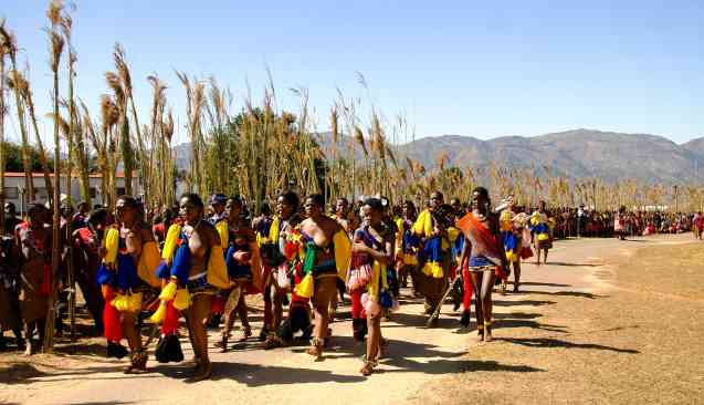 Eswatini culture, reed dance