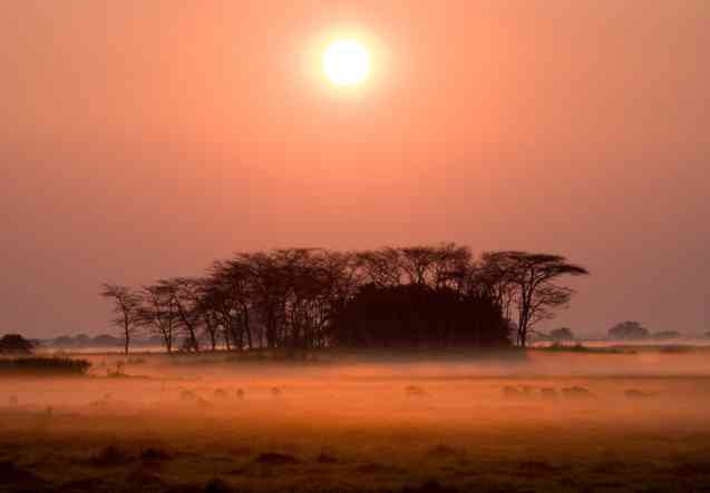 Zambia safari cost