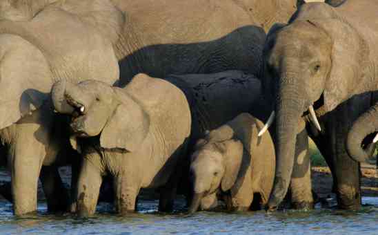 When is the Best Time to Visit Zimbabwe in Southern Africa?