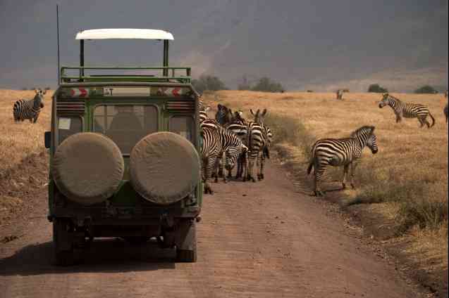 Serengeti National Park safari