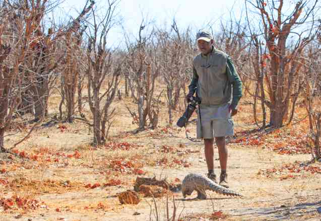 Guided walking safari costs