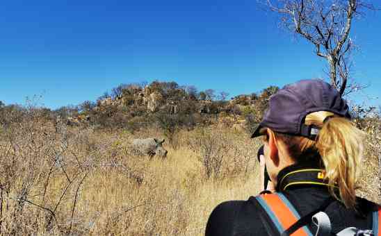 Is Zimbabwe Safe to Visit as a Tourist? (Safety on Zimbabwe Safaris)