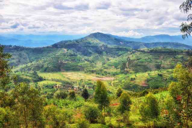 Rwanda landscape