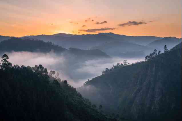 Hills of Bwindi Forest Park in Uganda