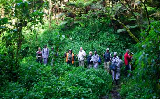 5 Best Things to Do in Uganda