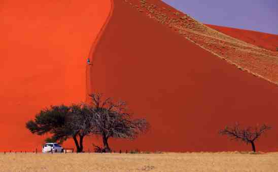 10 Cheapest African Countries to Visit for An Affordable Safari