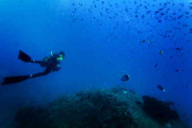 Scuba diving in Mozambique