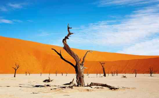 14 Extra Safari Costs & How to Budget for These Unexpected Travel Expenses