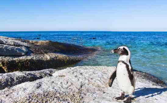5 Top Spots on the Southern Cape Peninsula of Cape Town