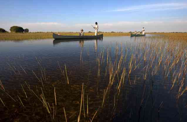 Okavango Delta safari in Botswana