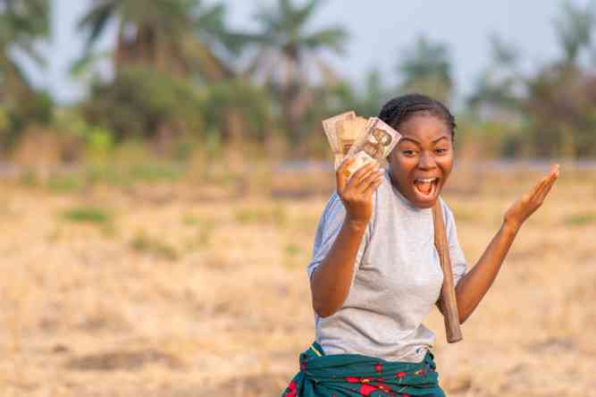 Budget safari costs