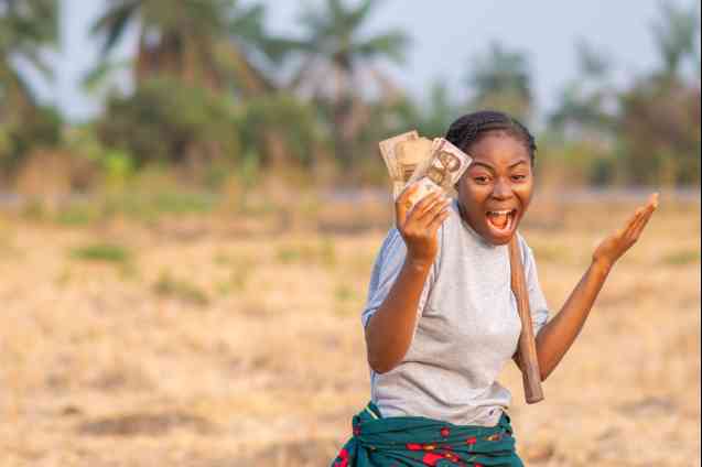 Budget safari costs